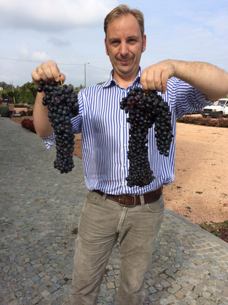 Bernhard Aumann hält zwei große Weintrauben aus einem Weinberg in Italien
