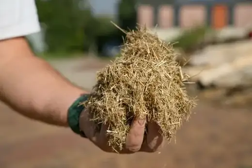 Humus-Produktion auf The Good Ones Farm